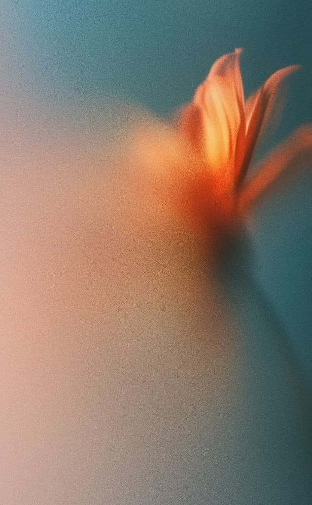 Decorative atmospheric background for booking section