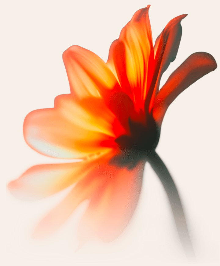 Claura decorative floral element